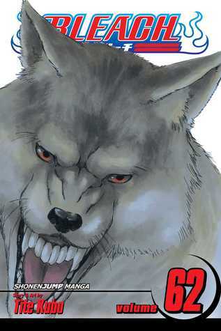 Bleach, Volume 62 book cover