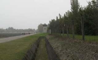 Under the Poplar Trees by Rosemary Frisino Toohey Goodreads