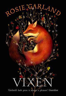 Vixen book cover