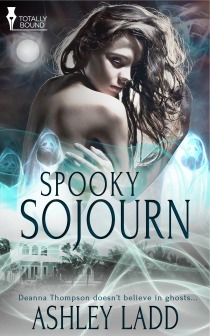 Spooky Sojourn book cover