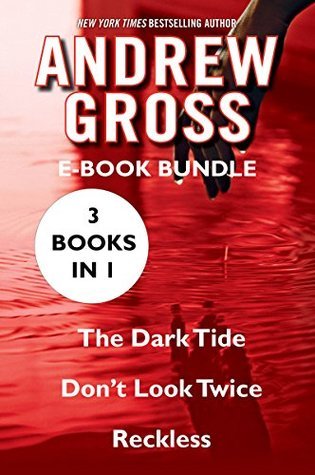 The Andrew Gross book cover