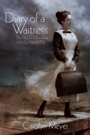 Diary of a Waitress book cover