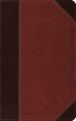 Holy Bible: English Standard Version