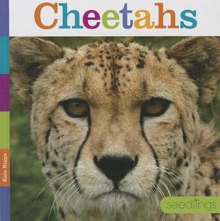 Cheetahs book cover