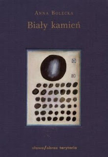 Biały kamień book cover