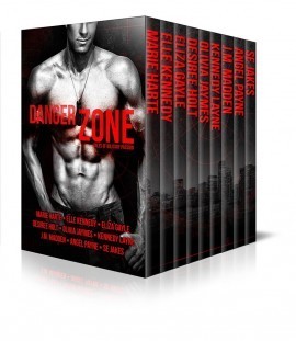 Danger Zone book cover