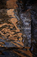 Into the Stream