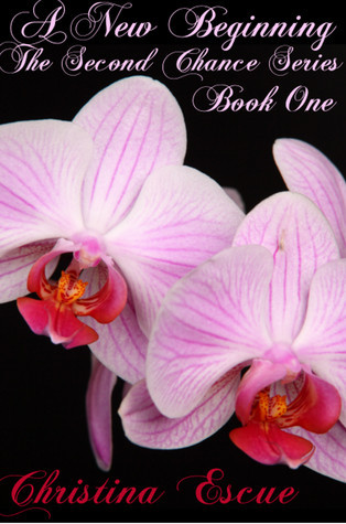 The Second Chance book cover 1