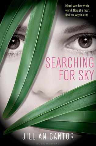 Searching for Sky cover