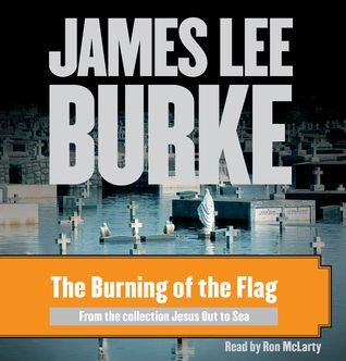 The Burning of the Flag book cover