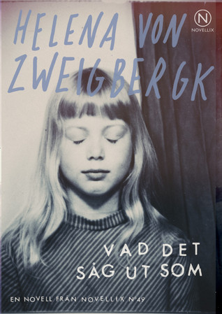 Vad det såg ut som book cover