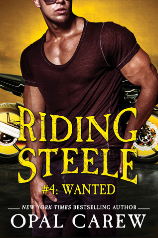 Riding Steele book cover