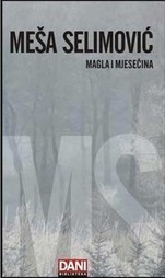 Magla i mjesečina