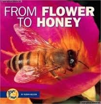 From Flower To Honey book cover