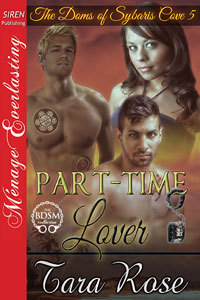 Part-Time Lover book cover
