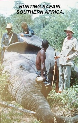 HUNTING. SOUTHERN AFRICAN SAFARI.: AN ELEPHANT AND BUFFALO HUNT.