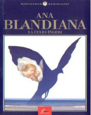 La cules de îngeri book cover