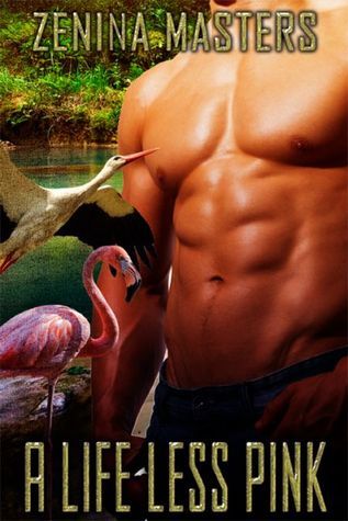 A Life Less Pink book cover