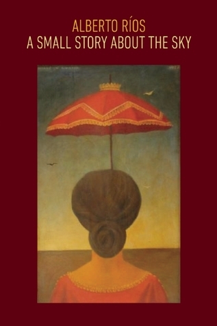 A Small Story about the Sky book cover