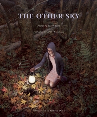 The Other Sky book cover