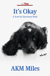 It's Okay book cover