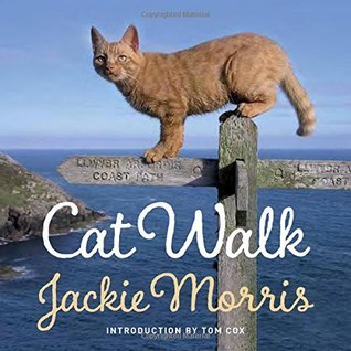Cat Walk book cover