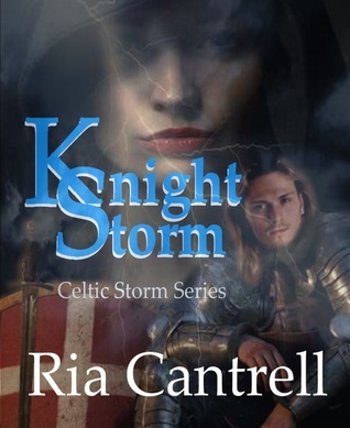 KNIGHT STORM book cover