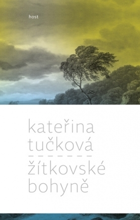 The Last Goddess book cover