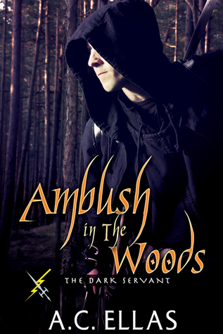Ambush in the Woods book cover
