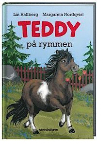 Teddy på rymmen book cover