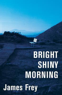 Bright Shiny Morning book cover