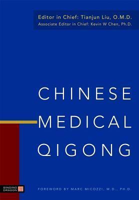 健康・医学 THE Foundation OF Chinese Medicine The Foundations of Chinese Medicine - 9780702052163