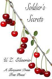 Soldier's Secrets book cover
