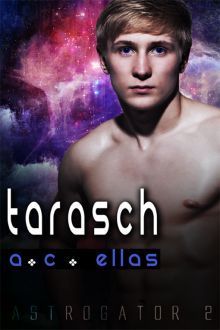 Astrogator book cover 2