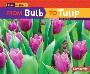 From Bulb to Tulip book cover
