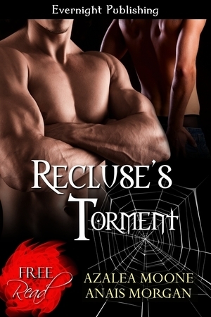 Recluse's Torment book cover