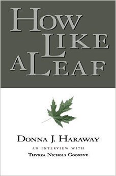 How Like a Leaf book cover