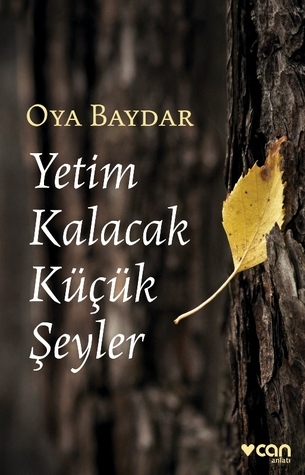 Yetim Kalacak Küçük Şeyler book cover