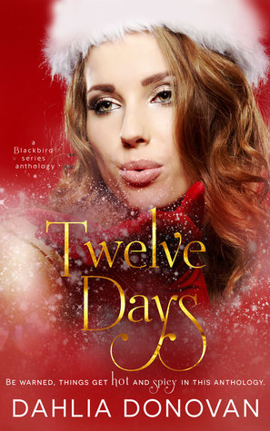 Twelve Days book cover