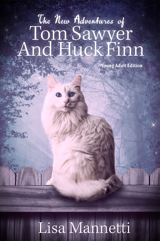 The New Adventures of Tom Sawyer and Huck Finn book cover