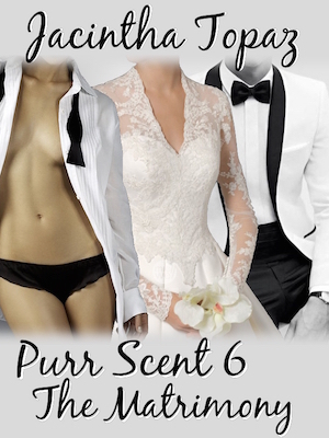 Purr Scent VI book cover
