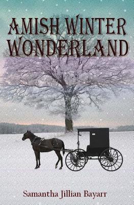 Amish Daughters book cover 2