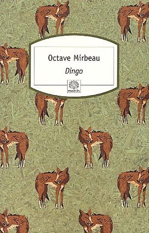 Dingo book cover