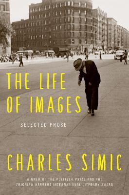 The Life of Images book cover