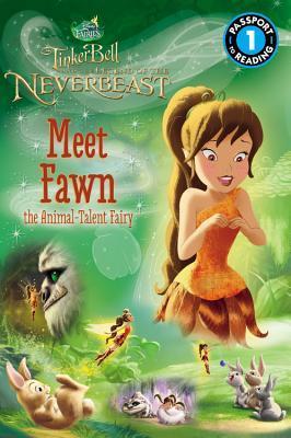Disney Fairies book cover