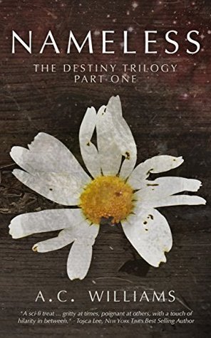 Morningstar: Destiny Trilogy book cover 1