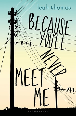 Because You'll Never Meet Me (Because You'll Never Meet Me, #1)