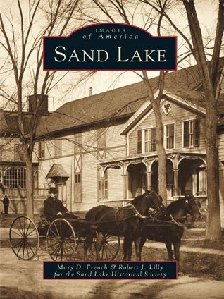 Sand Lake book cover