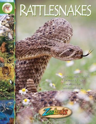 Book Rattle Snakes Rattlesnakes (Zoobooks) by Beth Wagner Brust | Goodreads