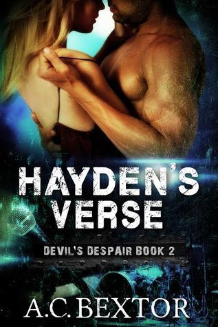 Devil's Despair book cover 2